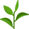 Plant-Based Cleaning Power